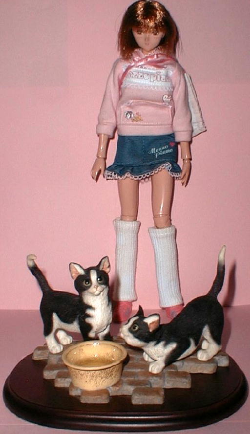 にゃんこシェンシェイみっけ！