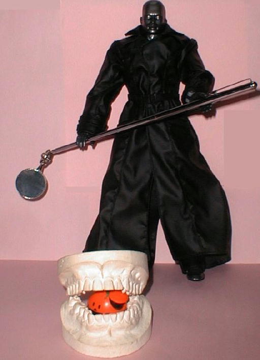 プチトマトじゃないよ～