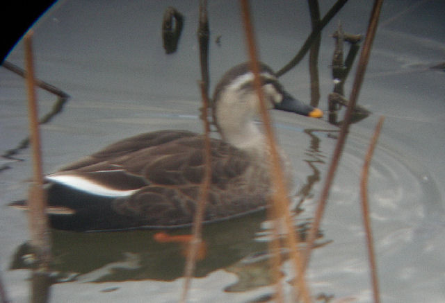 0701.14.14.39長居14