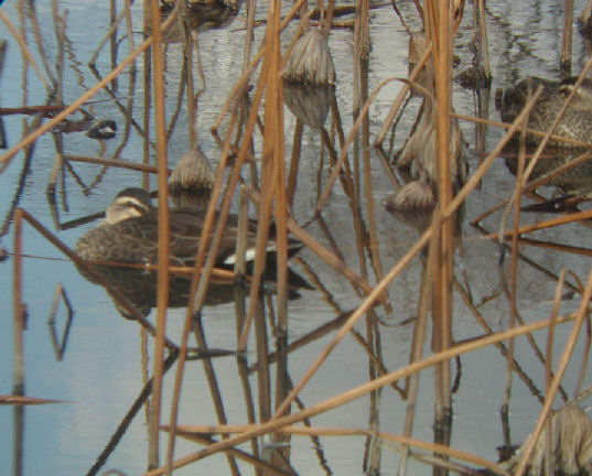 0701.14.14.32長居11