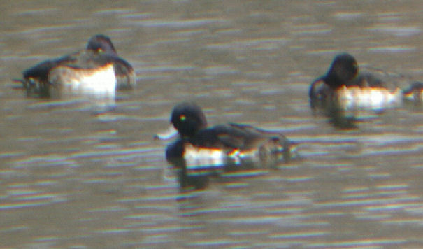 0701.14.14.08長居10