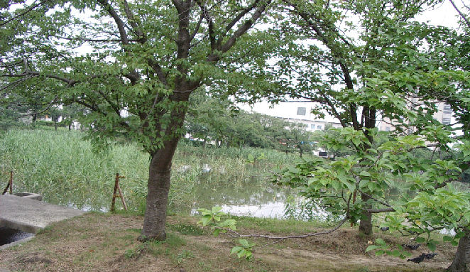 0707.7.12.30府立大5