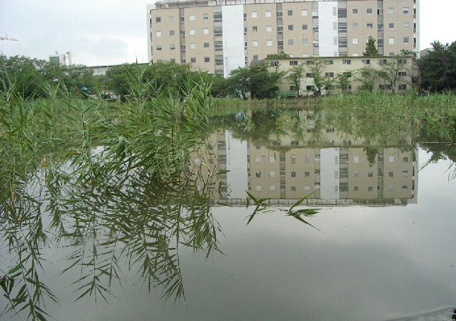 0707.7.12.31府立大6