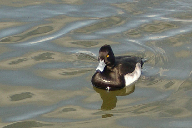 0701.14.13.46長居8