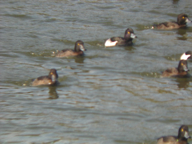 0701.14.13.45長居7