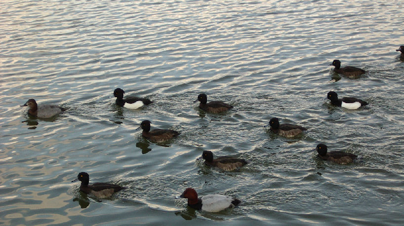 0701.14.13.43長居6