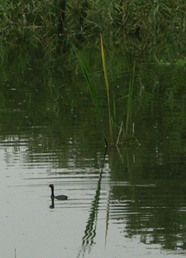 0707.7.12.35府立大10