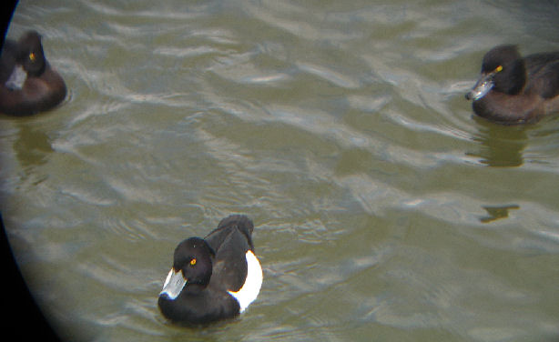 0701.14.13.13長居2