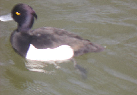 0701.14.13.11長居1