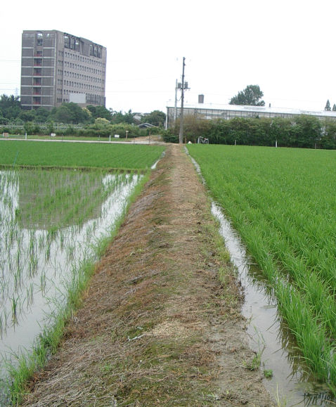 0707.7.13.03府立大17