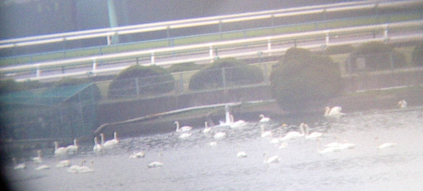 CA252735あっぷ京都6