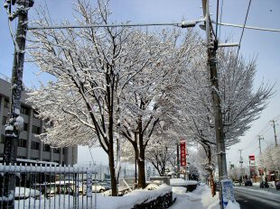 雪の町並み
