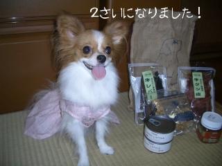 2004tannjyoubi