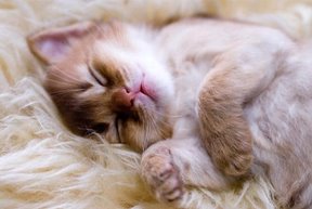 ひゅ～、どろどろどろぉ～