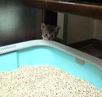 ぼくが、ちっちゃ～？