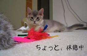 ヒンヤリしながら…