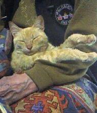 翌日にして既にくつろぐいななん