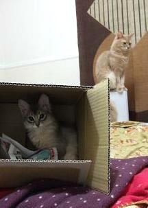 パパも少しは動きましょう☆