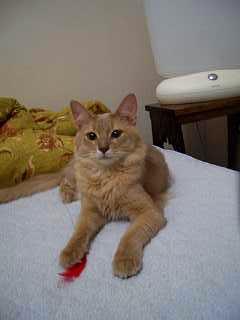 お姉さん、あまり面白くありません。