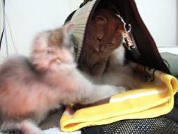 許可なく入るんじゃねぇ～(｀ﾛ´;)