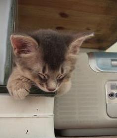 うれちいぃ（≧ω≦）