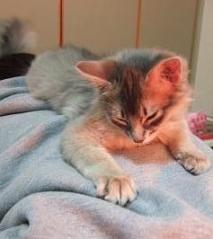 背中でうとうと…