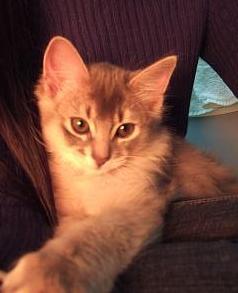 また眠～くなってきちゃったのですヽ( ´O｀)ゞﾌｧｰｧ