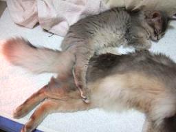 アンヨ、重いってよ～（＞＜）