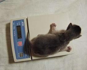 はぁ、昨日は飲み過ぎちゃったかな～