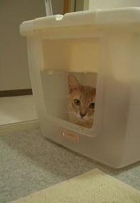 マイホームです。