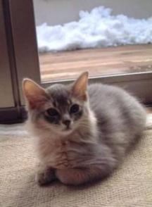 きん君で～す☆