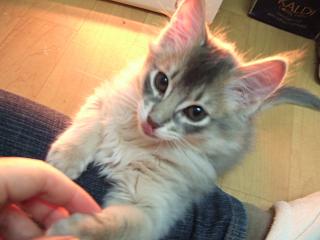 よく出来ました～パチパチ♪