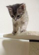 またまた、ブレた(；￣∇￣)