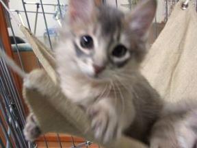 重千代だじょ～。ブレてるじょ～。