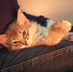 眠そうでしょ(笑)