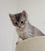 え～い、動くな重千代(怒)