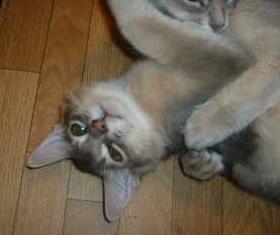 いいでしょ～♪