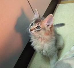 綺麗ですね～☆