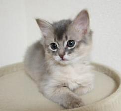 さすがだ、きん君☆