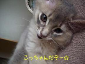 こっちゃんだぞ～☆