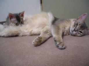 喉が渇いたんだって…