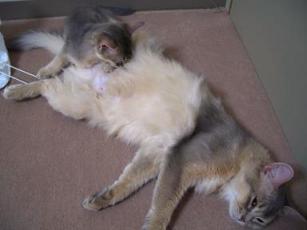 左の次は右です。