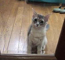 不思議そうな顔