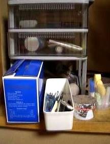 こんなところに…