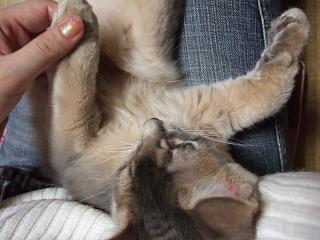 おててマッサージでございます