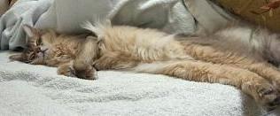 今日もｽｺﾞｰ(@∇@)