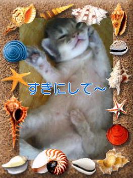 暑中お見舞いです☆