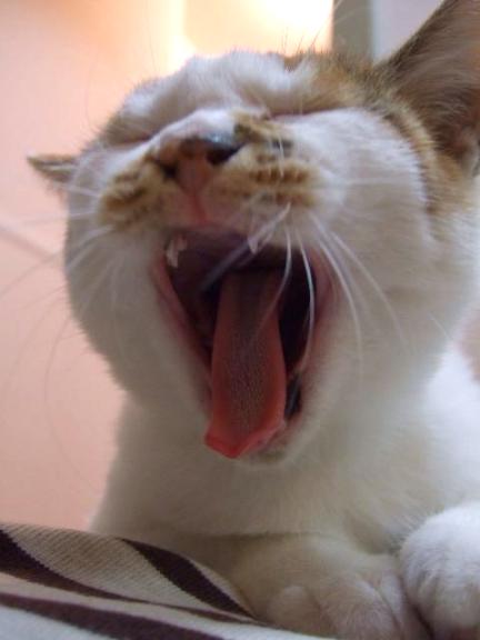 DSCF1028.jpg