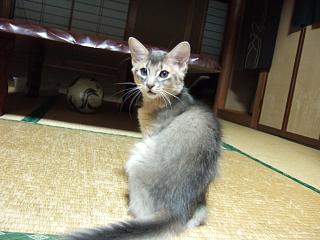 ちょっとアフォ面！？