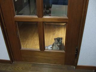 お見送りです☆